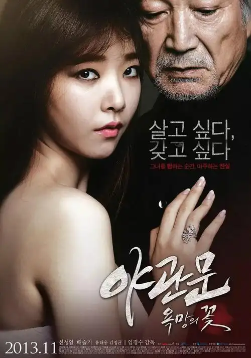日本漫画 动画化 行业资讯配图